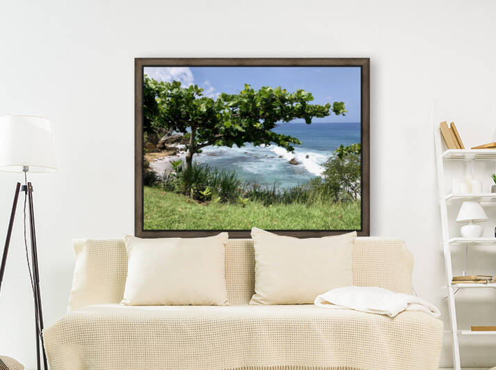Rincon-Puerto-Rico-2021-2 by Dogtown Guy