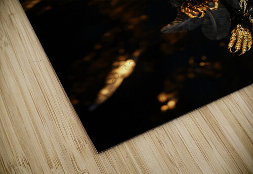 Golden Owl Esther Plazier puzzle