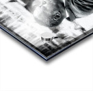 Soul II Acrylic print
