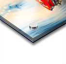 1957 Chevy C686 Acrylic print