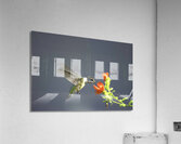 HUM2 Acrylic Print