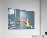 HUM3A Acrylic Print