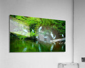 White herions 1 Acrylic Print