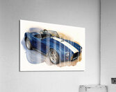 Cobra  698 Acrylic Print