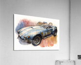 Cobra 684 Acrylic Print