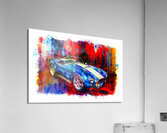 Corba CC232  Acrylic Print