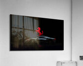 Ferrari 117 Acrylic Print
