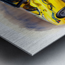 2005 C6 Corvette  Metal print