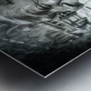 Soul Metal print