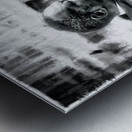 Soul II Metal print