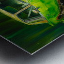 Low Rider 1 Metal print