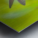 HuM4A Metal print