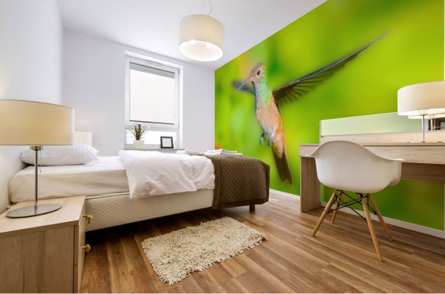 Hummingbird H3 Mural print