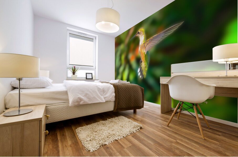 Hummingbird H5  Mural print