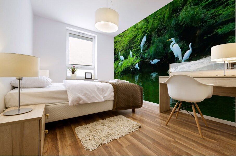White herions 1 Mural print