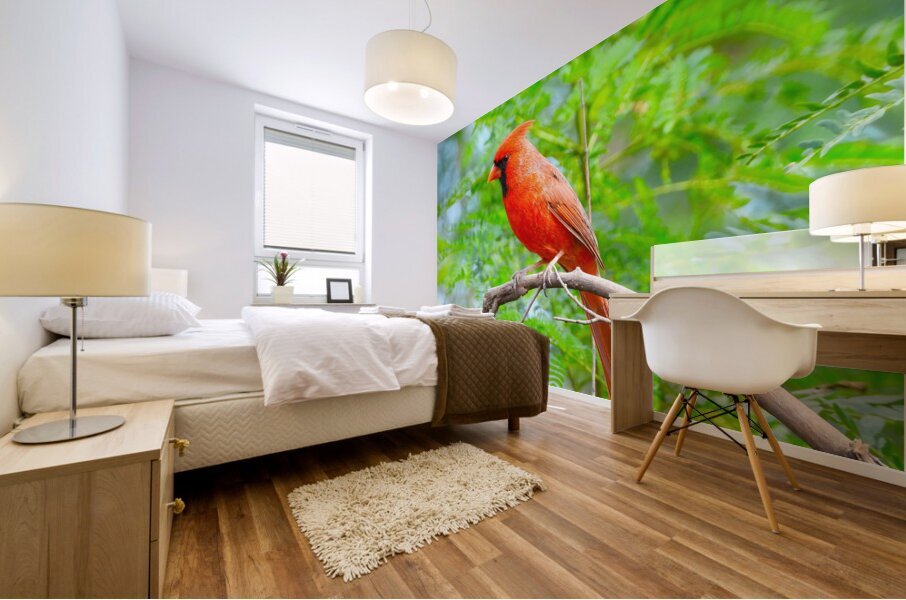 Red Car232 Mural print