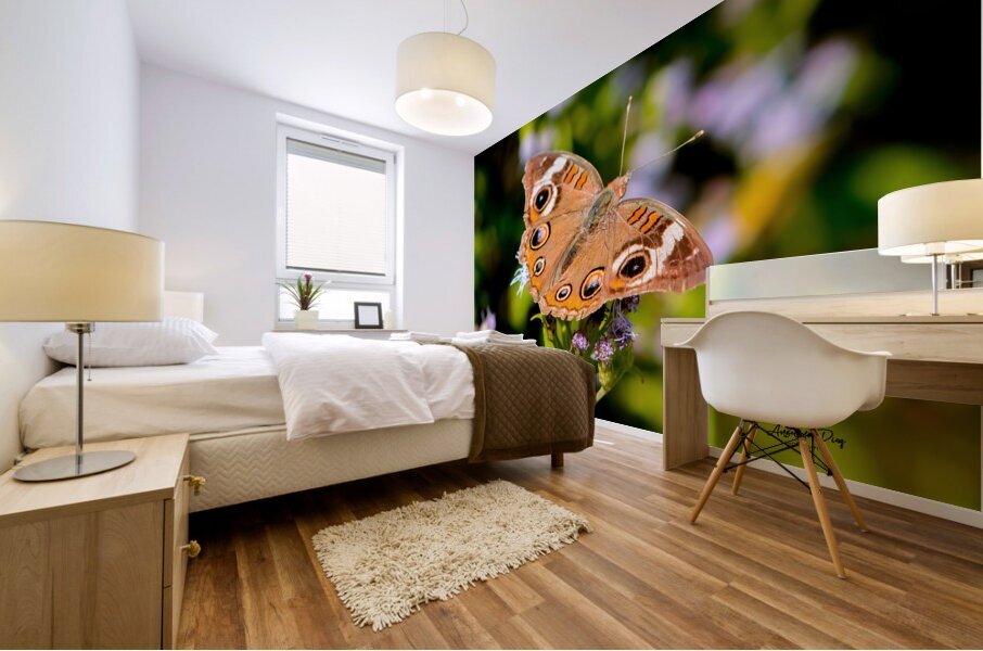 Butterfly 234 Mural print