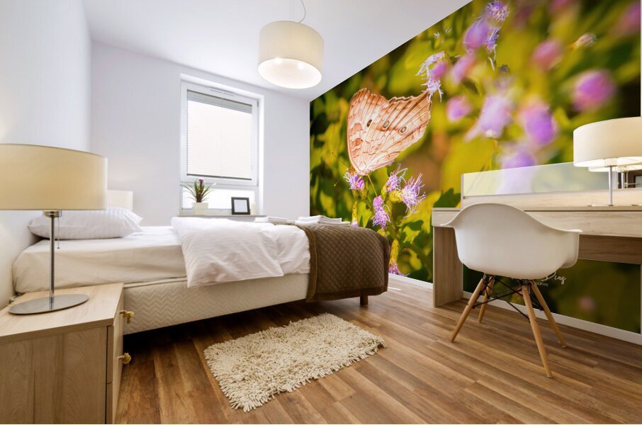 Butterfly 236 Mural print