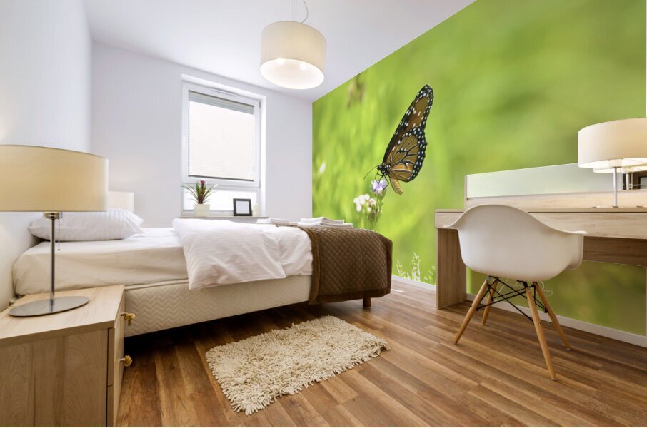 Butterfly 237 Mural print