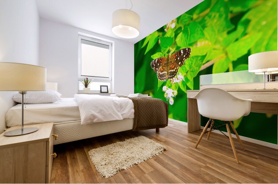 Butterfly 239 Mural print