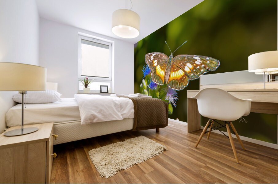 Butterfly 238 Mural print