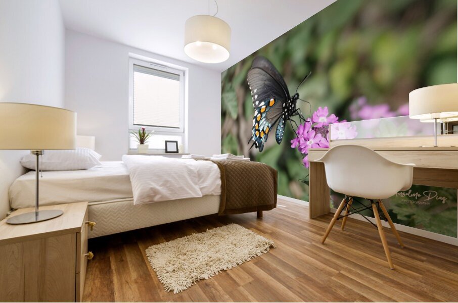 Butterfly 241 Mural print
