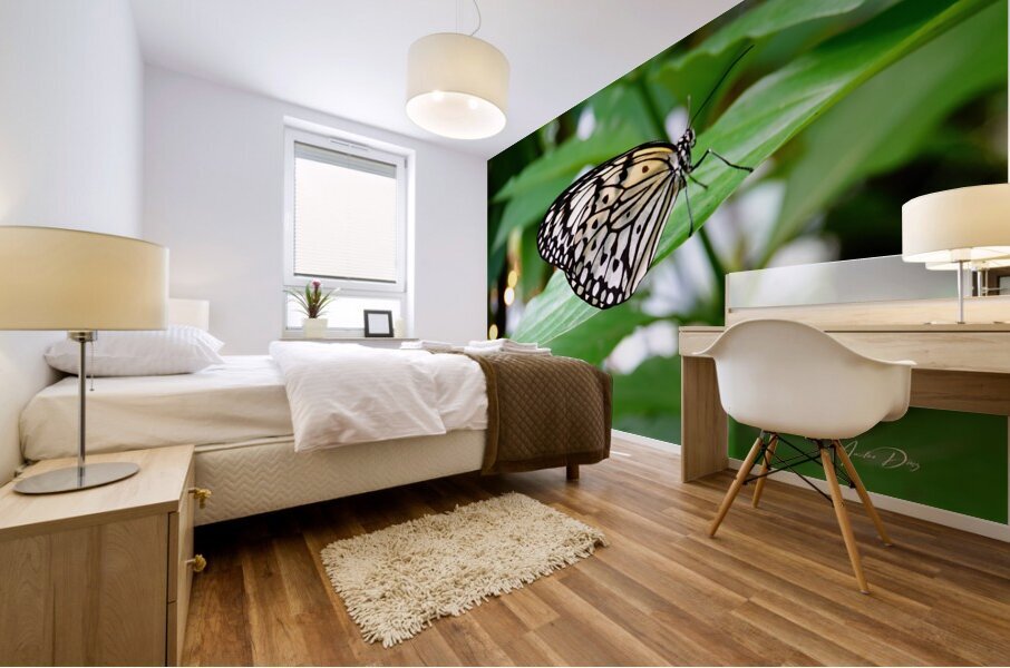Butterfly 242 Mural print