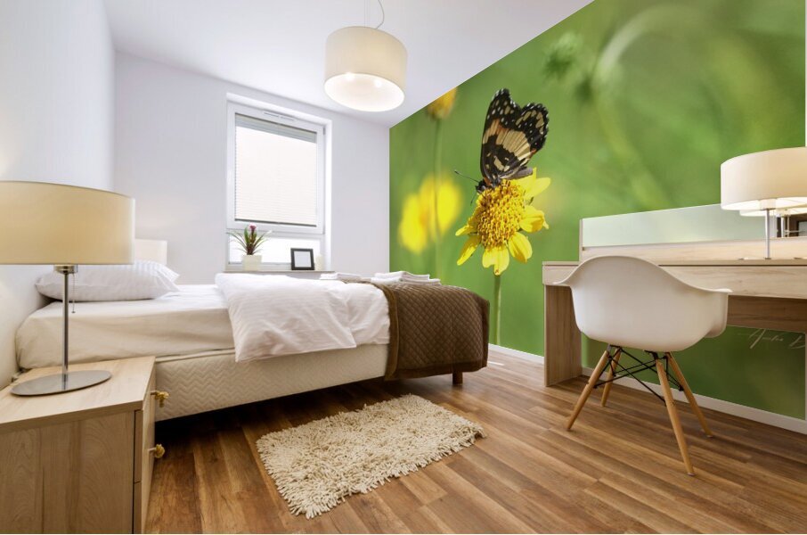 Butterfly 243 Mural print