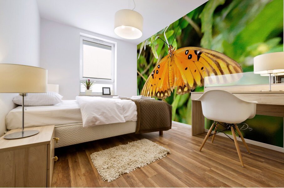 Butterfly 244 Mural print