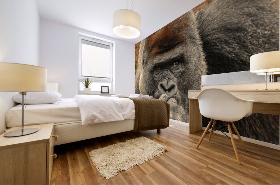 Silverback Gorilla   The Thinker Mural print