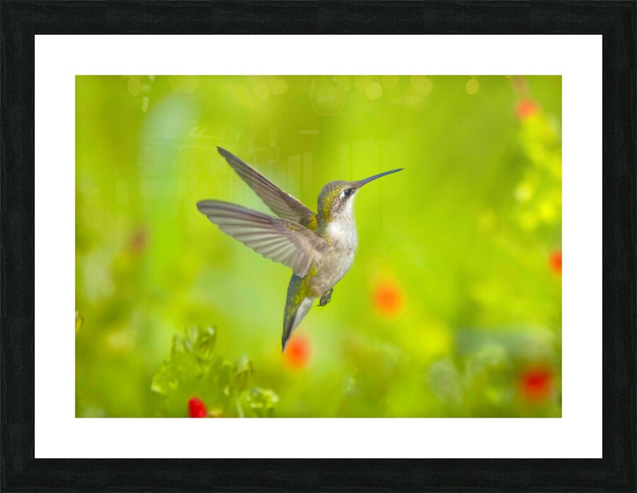 HuM4A Picture Frame print