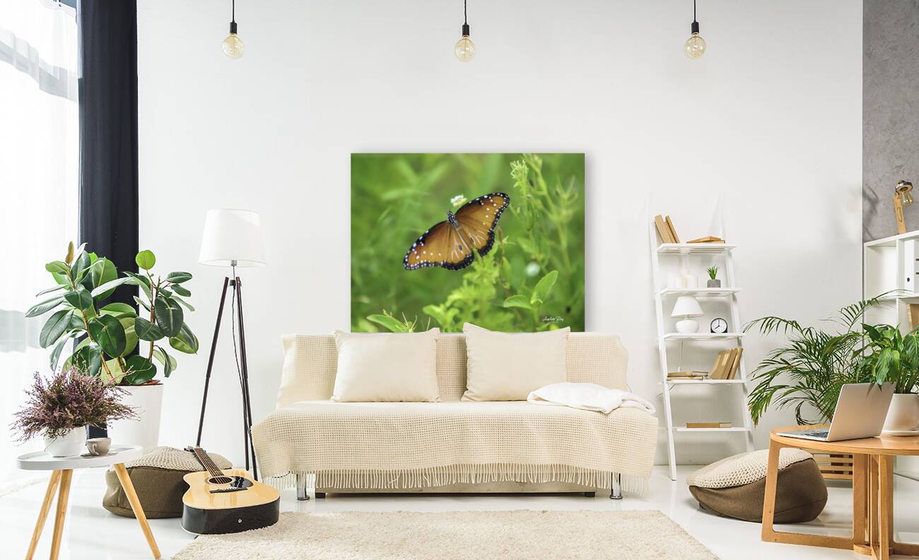 Butterfly Reproduction