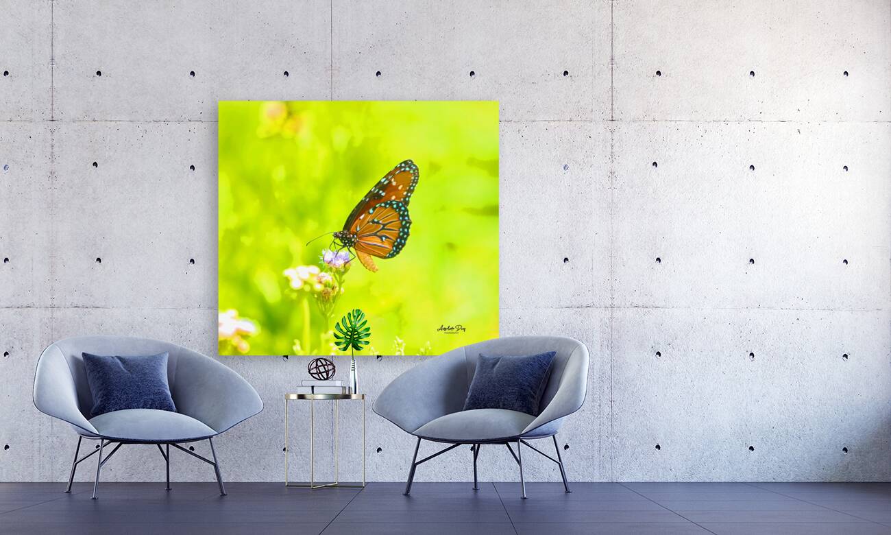 Butterfly Reproduction