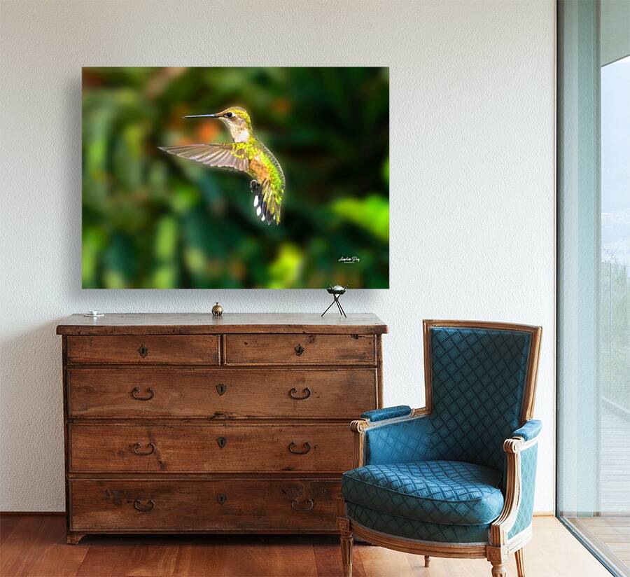 Hummingbird H2  Reproduction