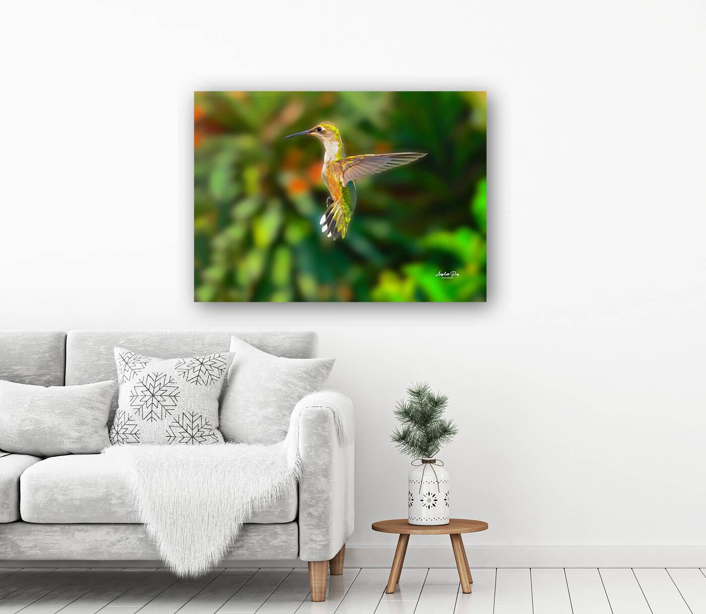 Hummingbird H5  Reproduction