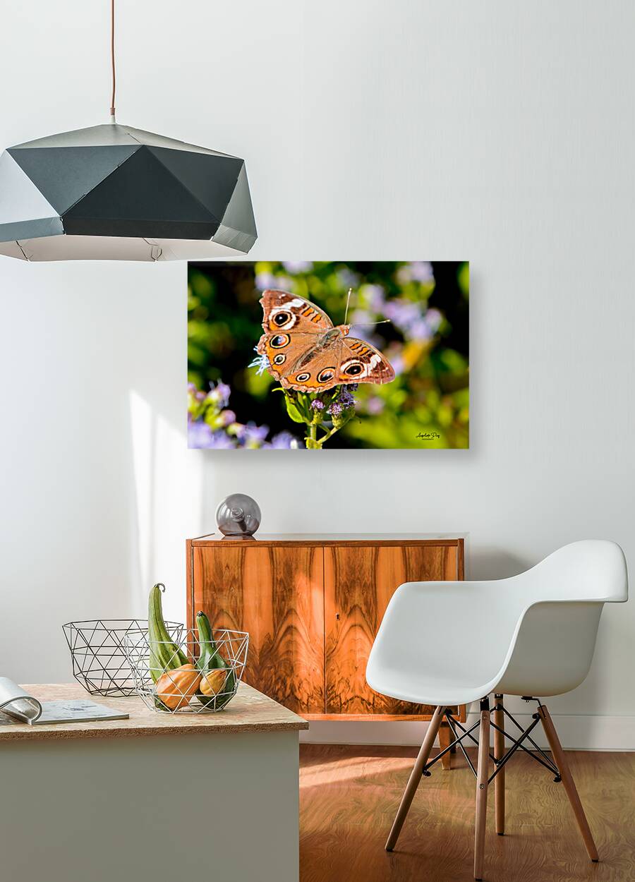 Butterfly 234 Reproduction