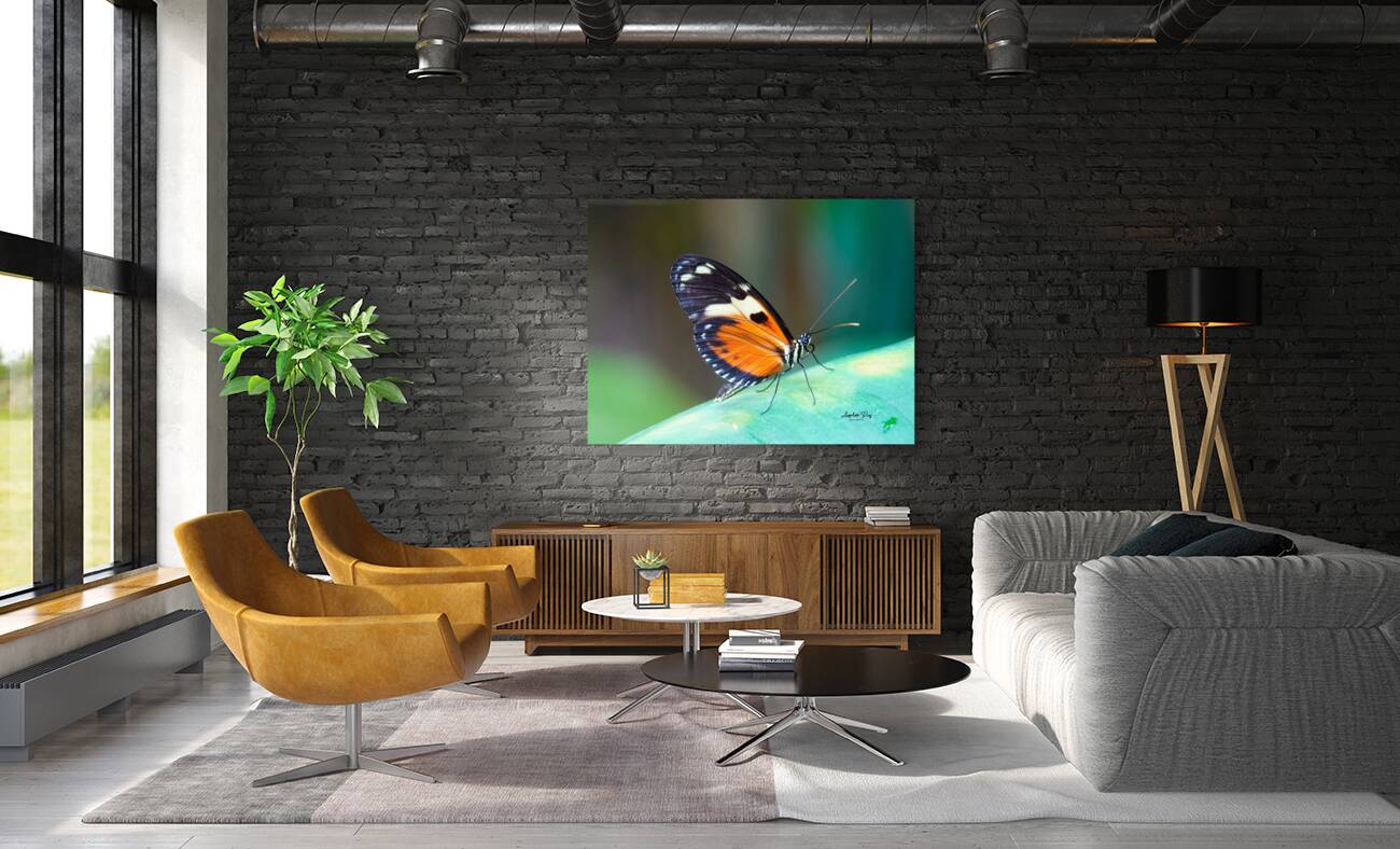 Butterfly 233 Reproduction