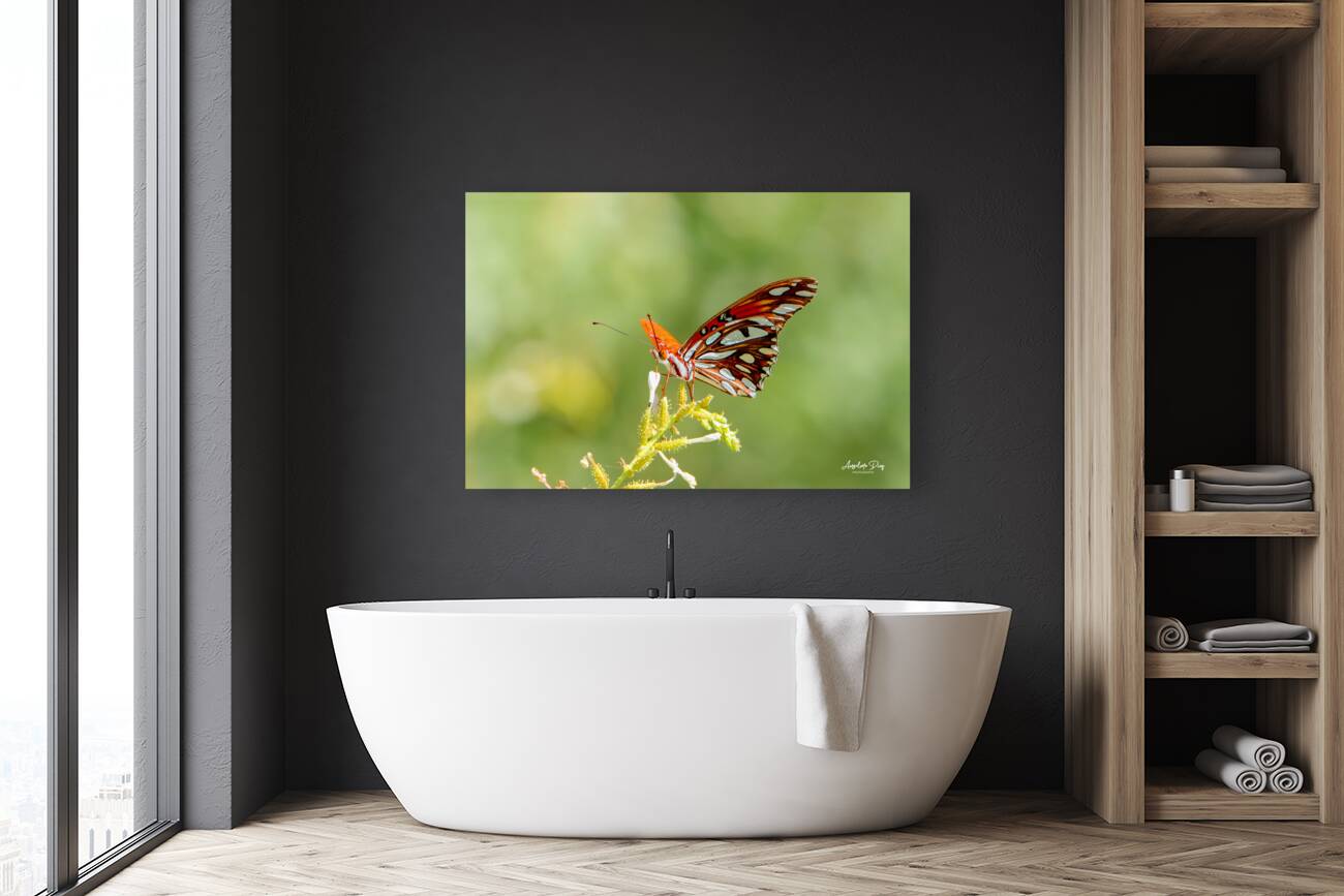 Butterfly 235 Reproduction
