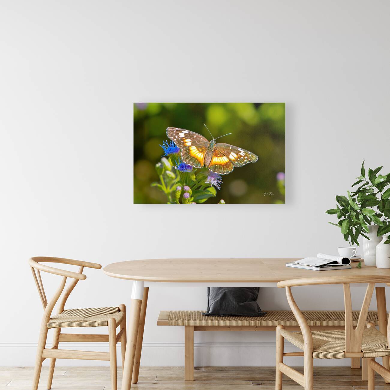 Butterfly 238 Reproduction