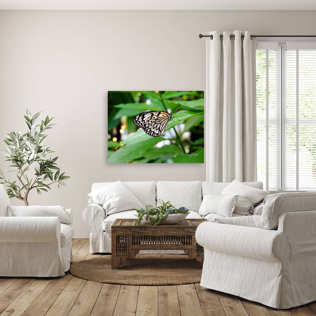 Butterfly 242 Reproduction