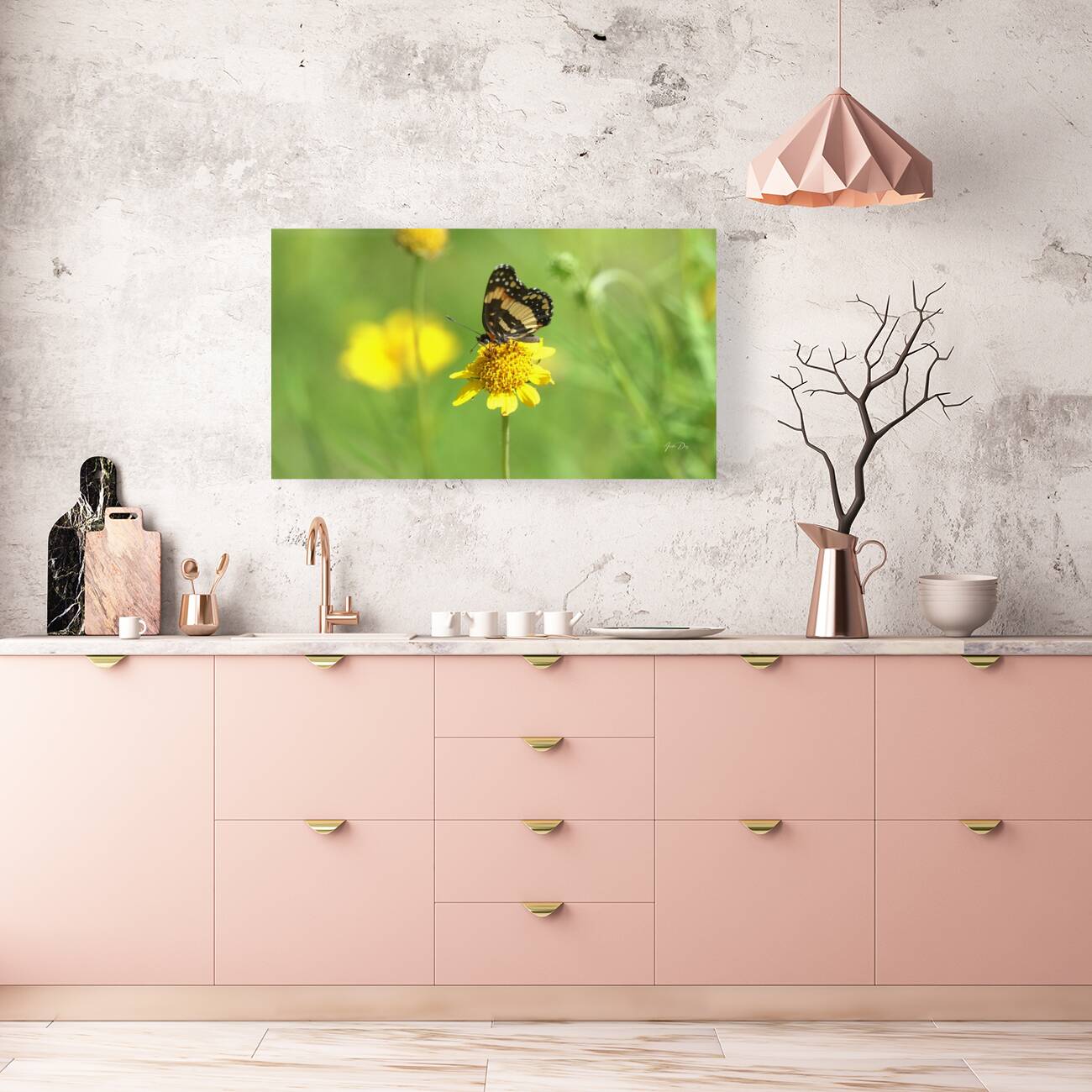 Butterfly 243 Reproduction