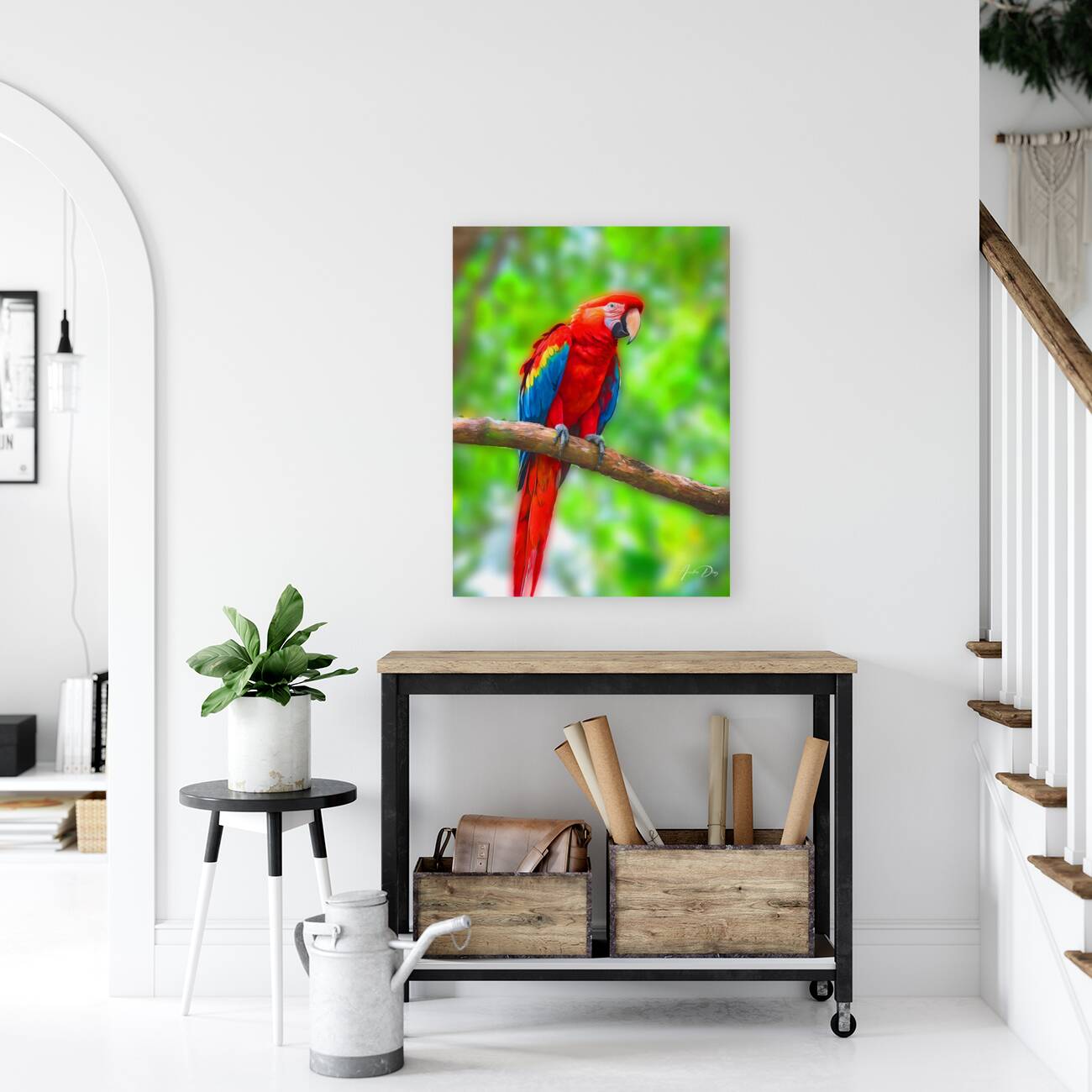 Macaw Bird Reproduction