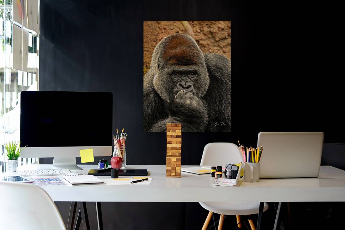 Silverback Gorilla   The Thinker Reproduction