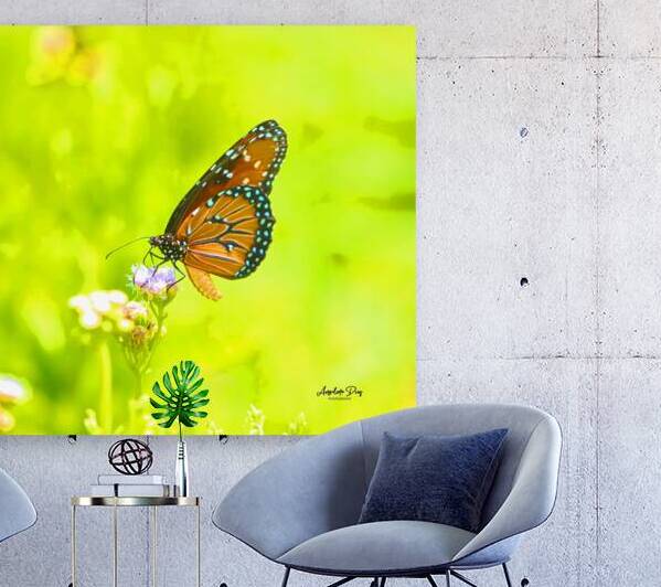 Butterfly by Anselmo Diaz