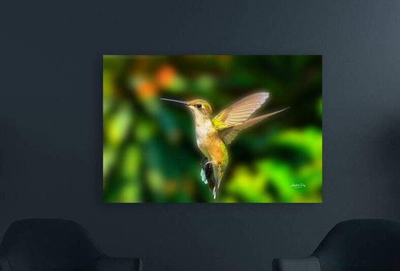 Hummingbird H1  Reproduction
