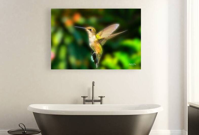 Hummingbird H4  Reproduction