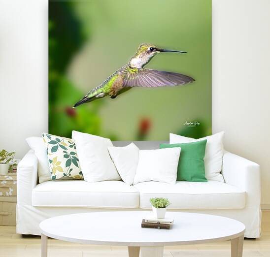 Hummingbird H6 Reproduction