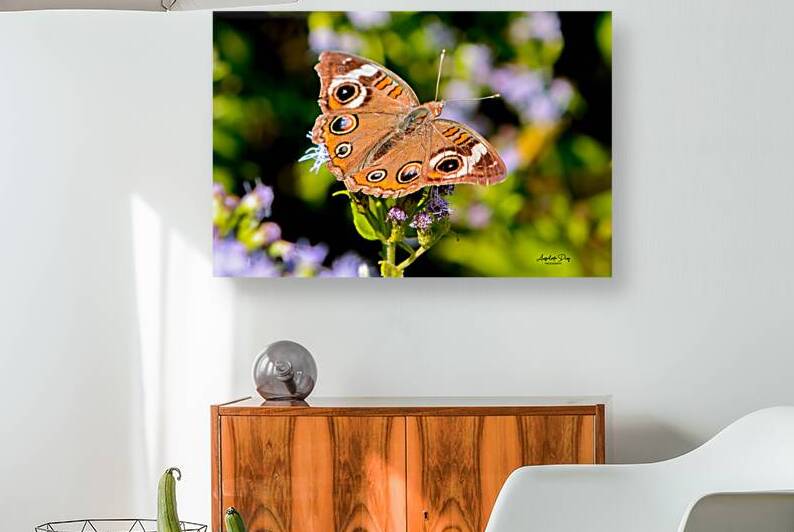 Butterfly 234 Reproduction