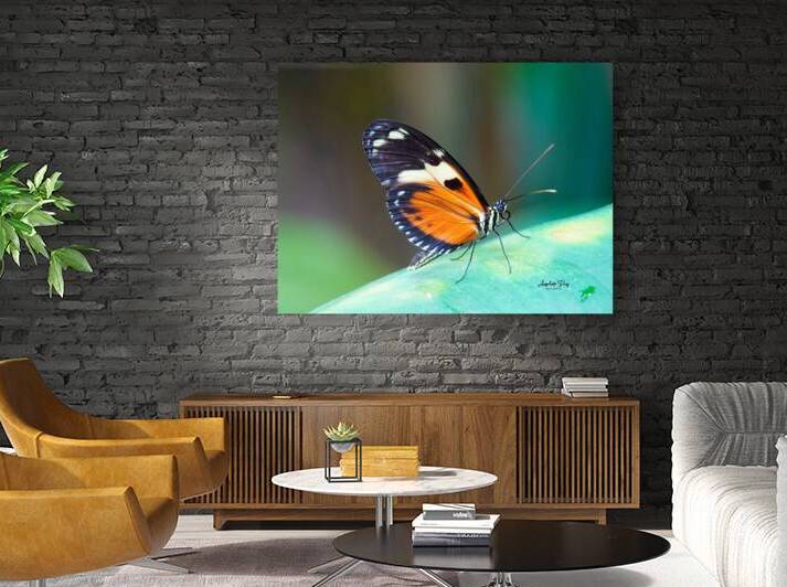 Butterfly 233 by Anselmo Diaz