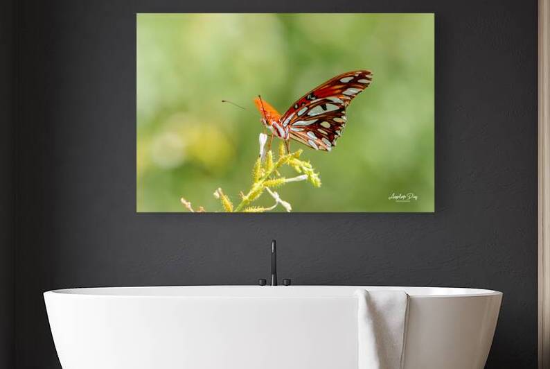 Butterfly 235 by Anselmo Diaz